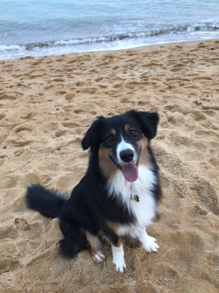 thumb_IMG_E3287_1024